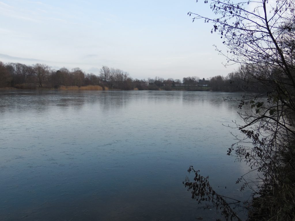 Reuschenberger See im Winter