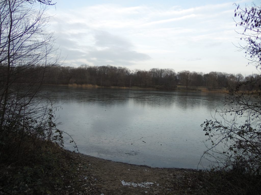 Reuschenberger See im Winter